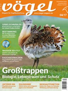 Vögel. Magazin für Vogelbeobachtung