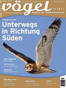 Vögel – Magazin für Vogelbeobachtung